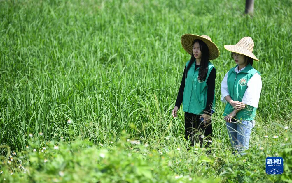 开户赠金200无需入金